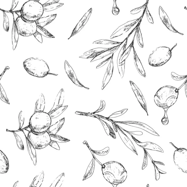 Patrón vintage, bayas de oliva, hojas y rama — Archivo Imágenes Vectoriales