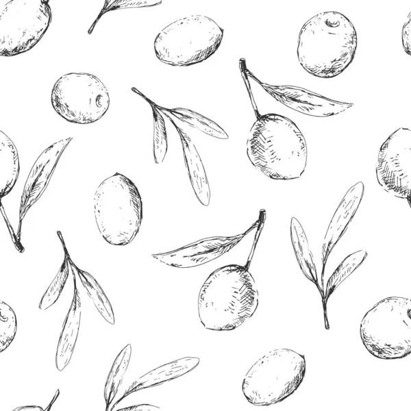 Patrón vintage con bayas de oliva y hojas — Archivo Imágenes Vectoriales