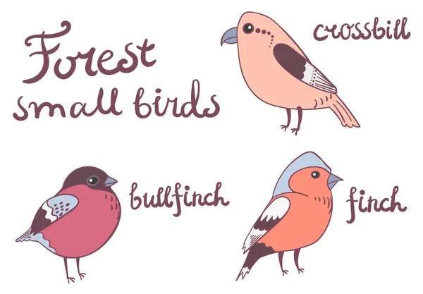 Floresta pequena coleta de pássaros — Vetor de Stock