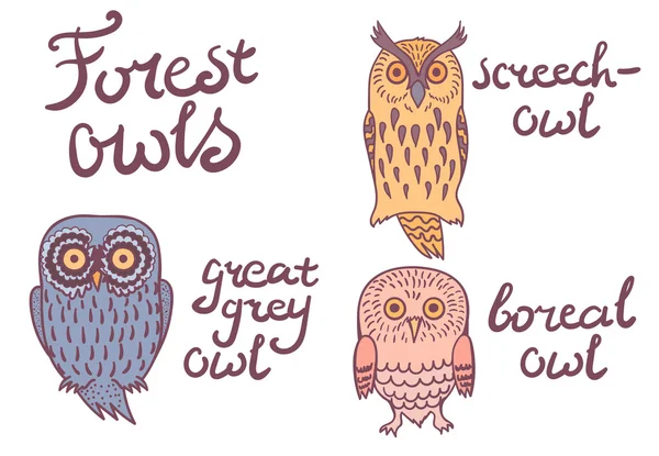 Forest owls collection — Stock Vector