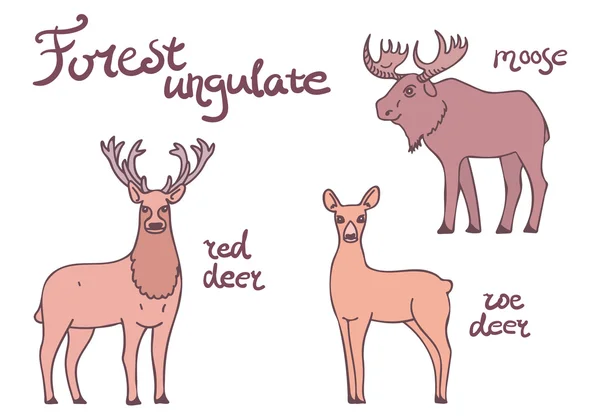 Forest ungulate animals set. — Stock Vector