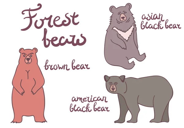 ชุดหมีป่า . — ภาพเวกเตอร์สต็อก