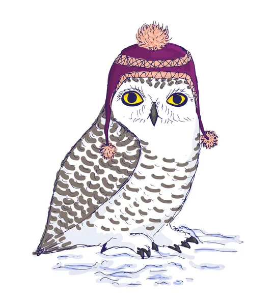 Colorful white owl in purple hat with pompon. — Stock Vector