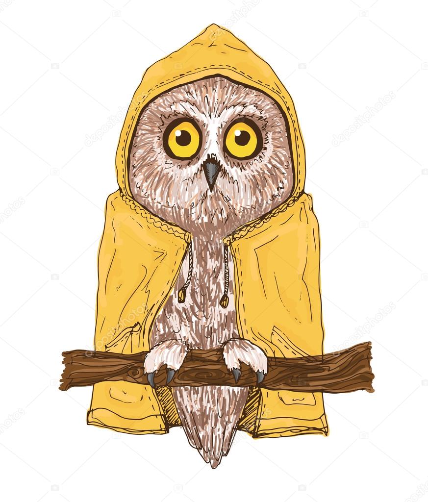 Colorful brown owl in bright yellow raincoat.
