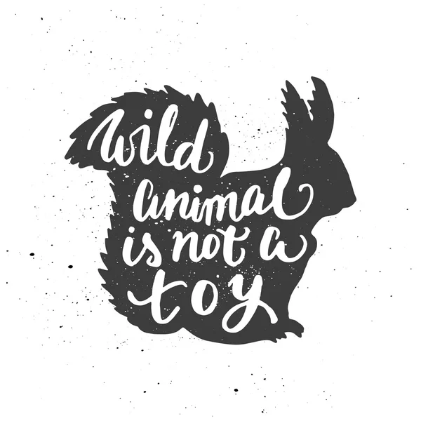 Wild animal is not a toy lettering in squirrel. — ストックベクタ