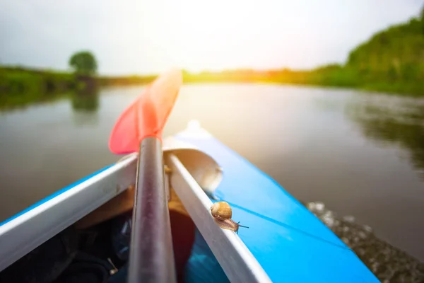 Red paddle and little snail are on kayak at summer day — Stock Photo, Image