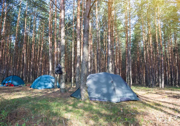 Campeggio in prima mattina. Giorno soleggiato vicino a bella foresta — Foto Stock