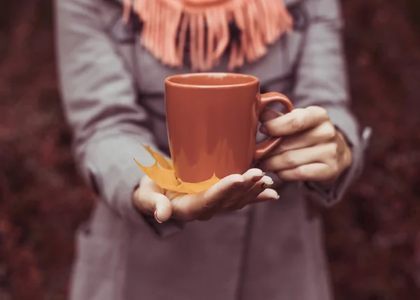 年轻美丽的女子和喝杯热茶在跌的时候外面摆姿势 — 图库照片