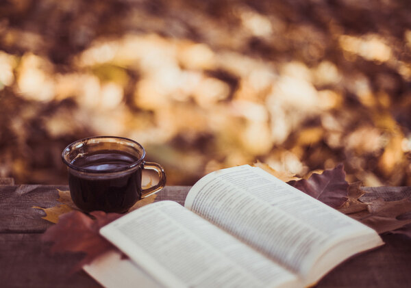 Hot coffee and red book with autumn leaves on wood background - seasonal relax concept Stock Picture