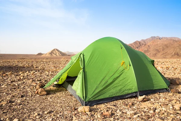 맑은 아침에 녹색 텐트 — 스톡 사진