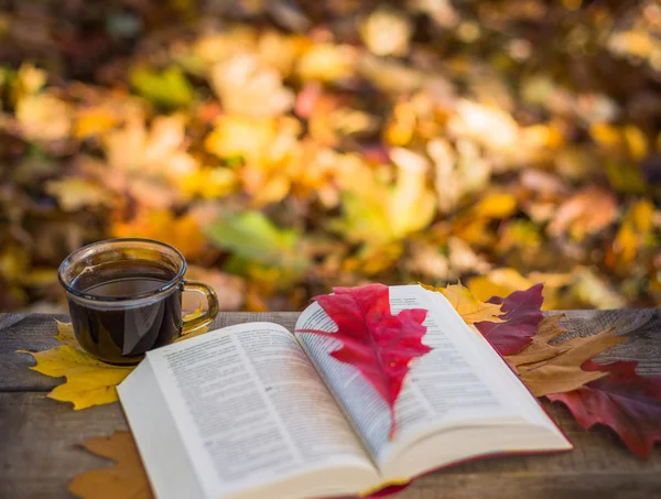 Café quente e livro vermelho com folhas de outono no fundo de madeira — Fotografia de Stock
