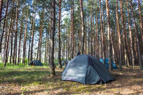Acampamento de tenda em luzes de manhã ensolaradas na floresta verde — Fotografia de Stock