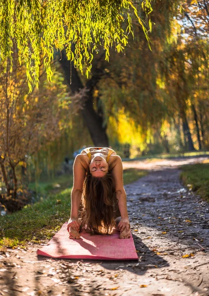 Ung kvinde gør yoga i morgen efterår park - Stock-foto