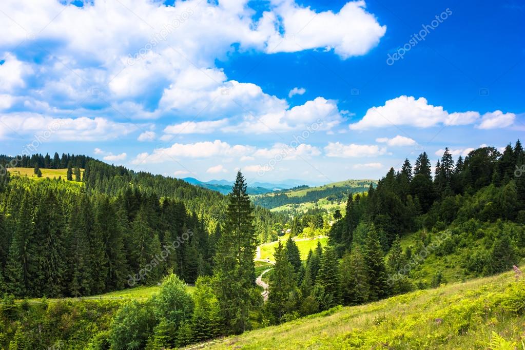 Sunny mountain landscape. Green grass, trees and blue sky