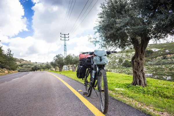 Велосипед на дороге в парке на открытом воздухе — стоковое фото