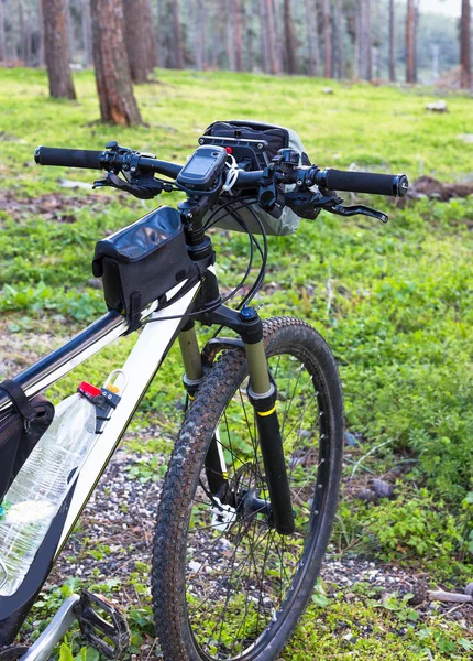 Bicicleta en la carretera en el parque al aire libre Imágenes De Stock Sin Royalties Gratis