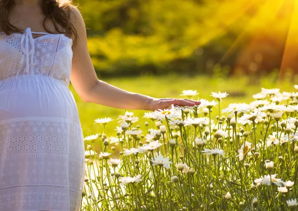 Pregnant woman and chamomile flowers — Stock Photo, Image