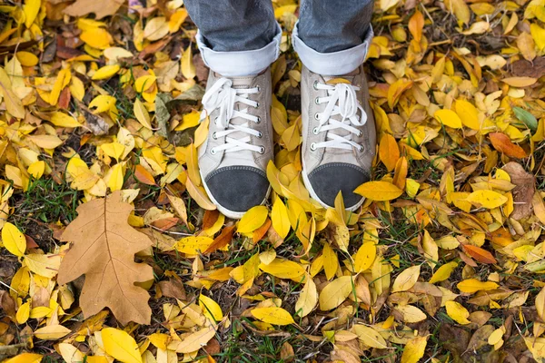 Счастливый хипстер, стоящий на опавших листьях в парке — стоковое фото
