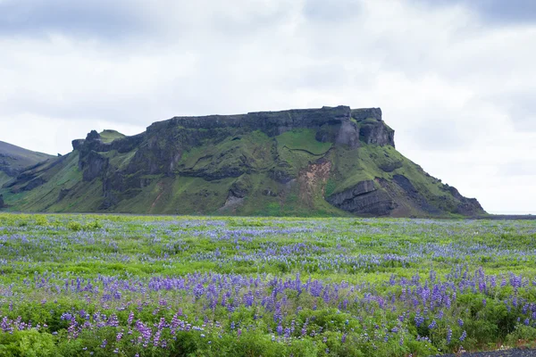 Исландский красивый пейзаж — стоковое фото