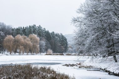 Donmuş göl Parkı kış güzel gün