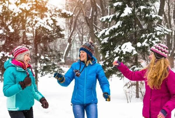 Счастливые друзья веселятся в зимнюю снежную погоду в парке — стоковое фото