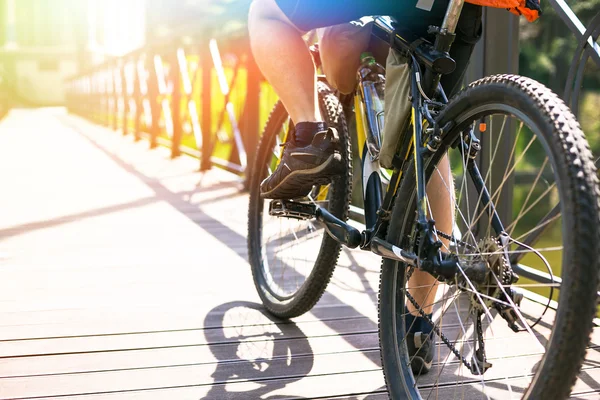 도 자전거 타기 — 스톡 사진