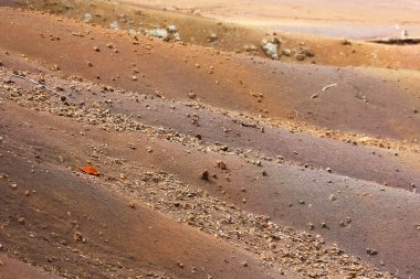Çok renkli kum. Chamarel renkli Dünya, Mauritius