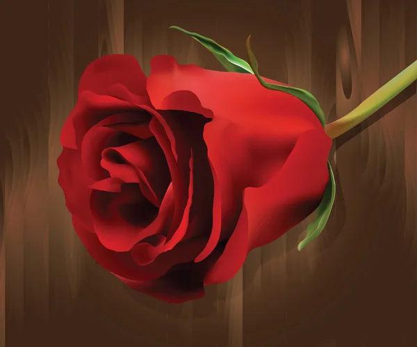 Rose auf dem hölzernen Hintergrund — Stockvektor