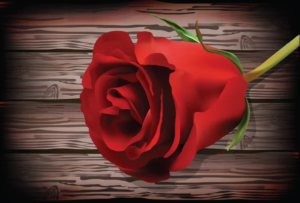 玫瑰上的木制的背景 — 图库矢量图片