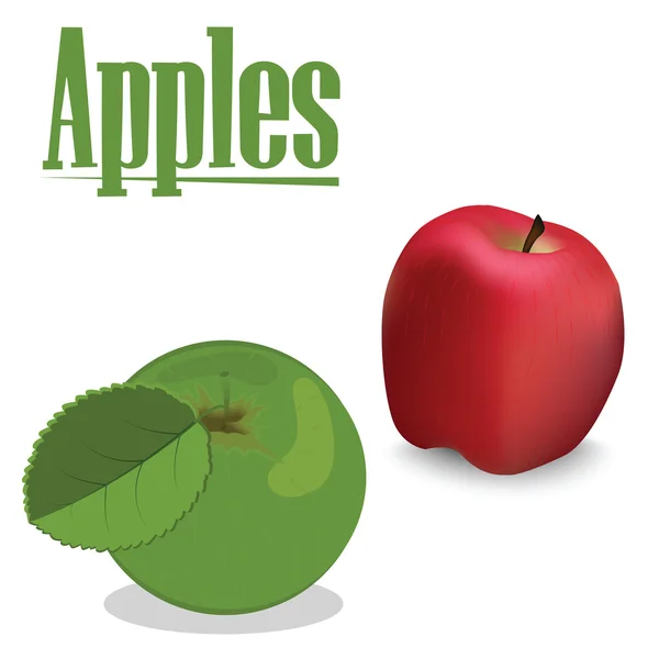 Äpfel zwei Arten von Vektor — Stockvektor