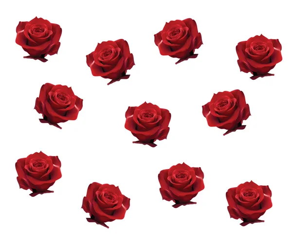 Fond avec des roses — Image vectorielle