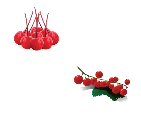 Hintergrund mit Beeren für Ihr Design — Stockvektor