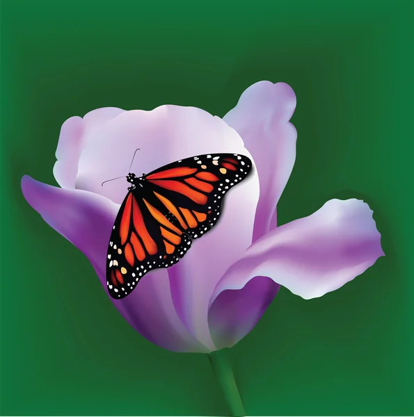 Pozadí s Tulipán a motýl — Stockový vektor