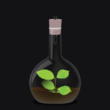 Bir ampul tasarımınız için bitki