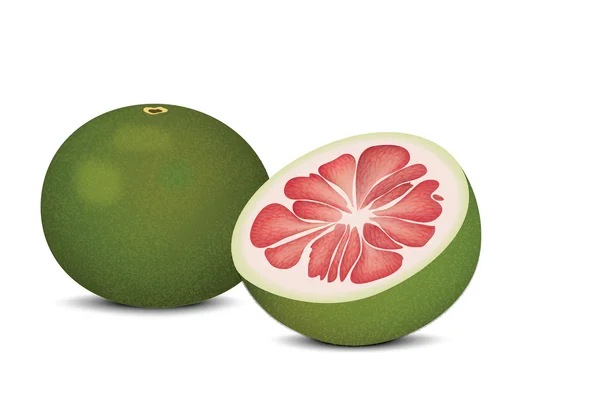 Fruta tropical para su diseño — Vector de stock