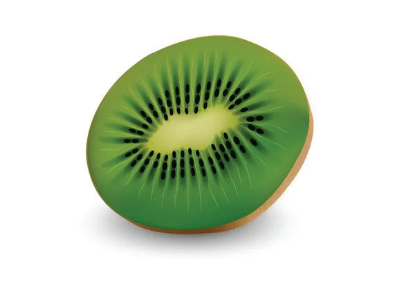 Kiwi für Ihr Design — Stockvektor