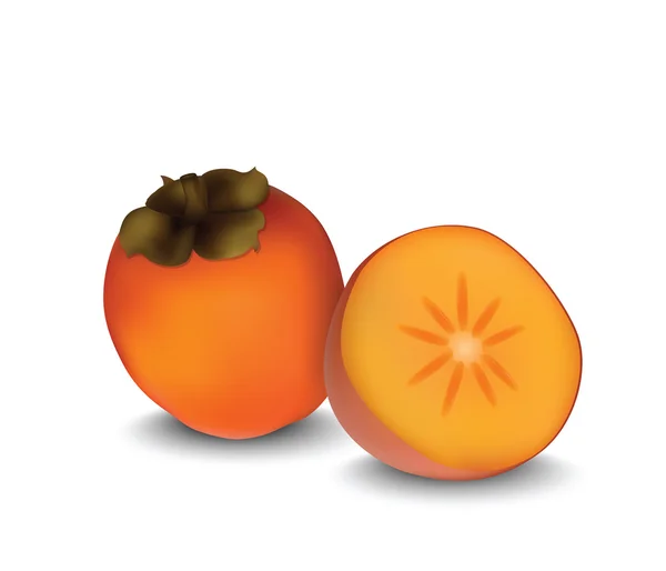Persimmon for your design — Stock Vector