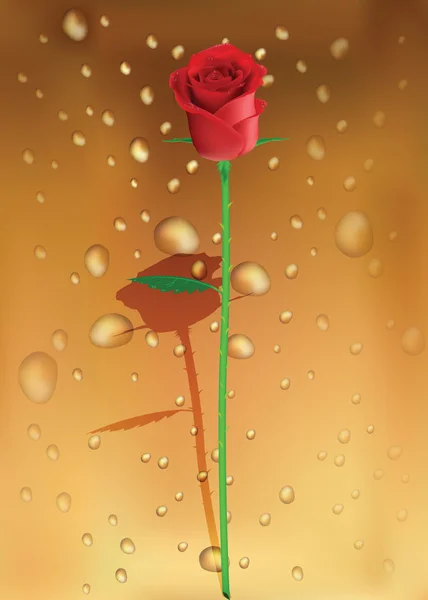 Duftende Rose für Ihr Design — Stockvektor