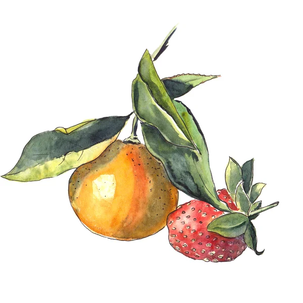 Akvarel pomeranč a jahoda — Stock fotografie