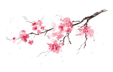 Bahar kiraz sakura şube
