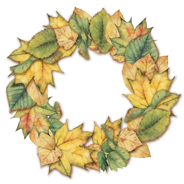 Wreath of autumn leaves — Stock Photo, Image