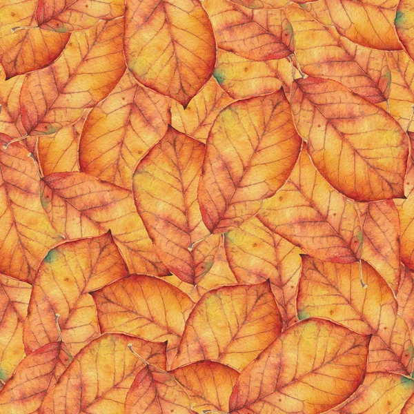 Bezešvé vzory s podzimními listy. — Stock fotografie