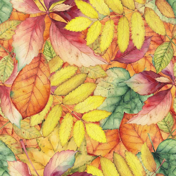 Seamless pattern with autumn leaves. — Stock Photo, Image