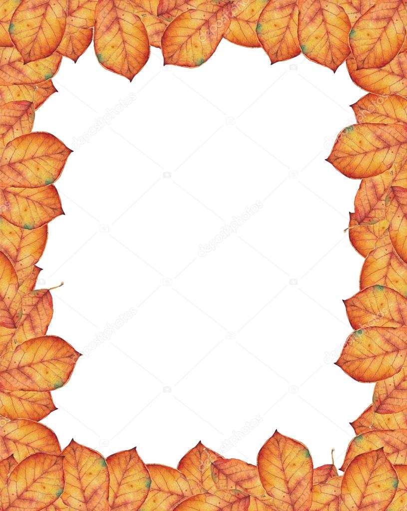 Border pattern with autumn leaves.