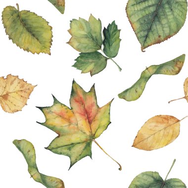 Sorunsuz vektör arka plan ile renkli sonbahar yaprakları. Linden, huş ağacı, titrek kavak, akçaağaç yaprakları.