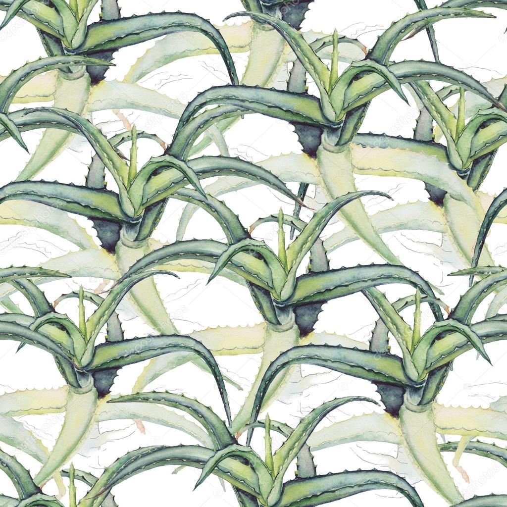 Seamless Pattern With Aloe Vera Stock Photo Image By C Shavrinavera 9050