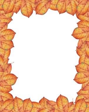 Sınır vektör desen ile sonbahar yaprakları.