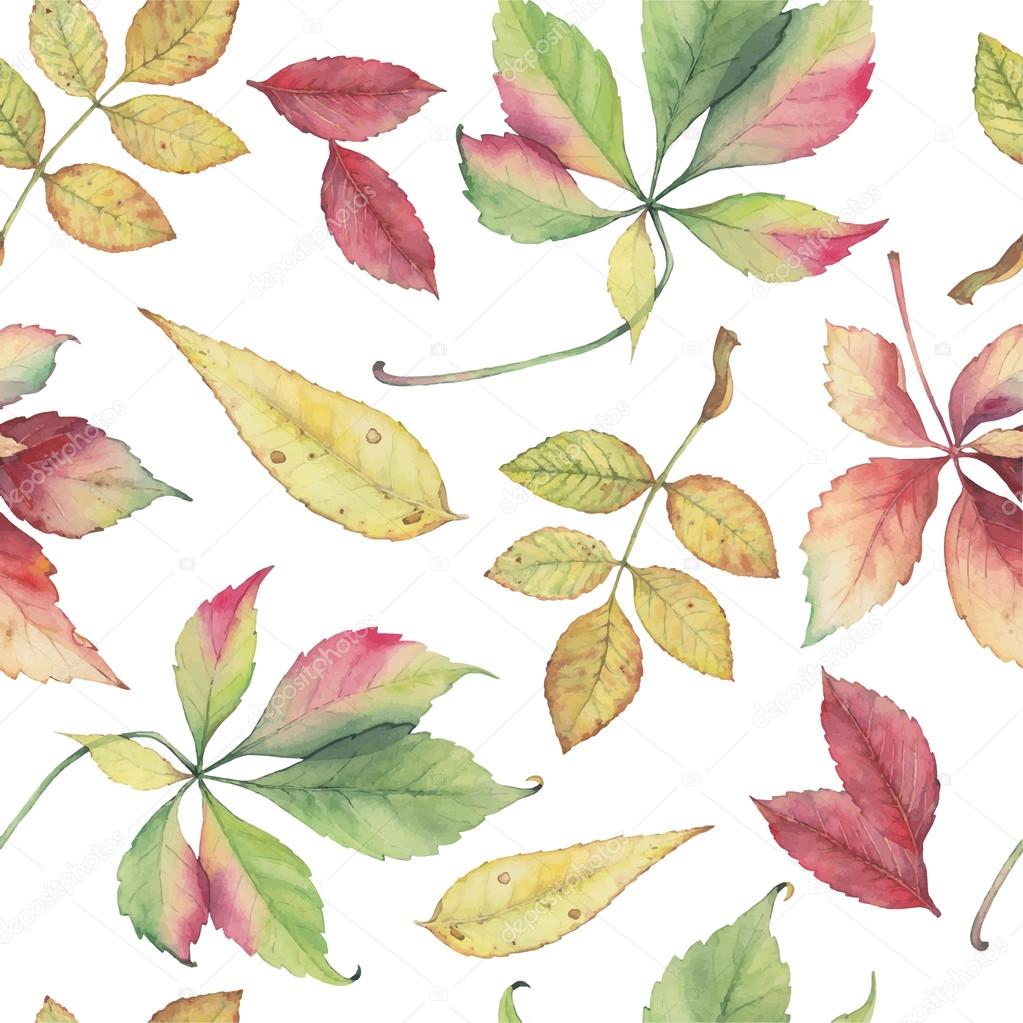 Seamless vector pattern with colorful autumn leaves.