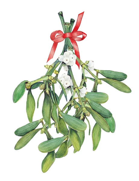 Bouquet with Mistletoe sprigs. — Stock Photo, Image