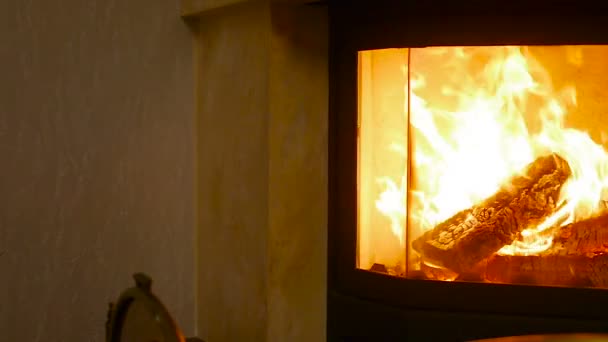 Cheminée en feu dans la maison — Video